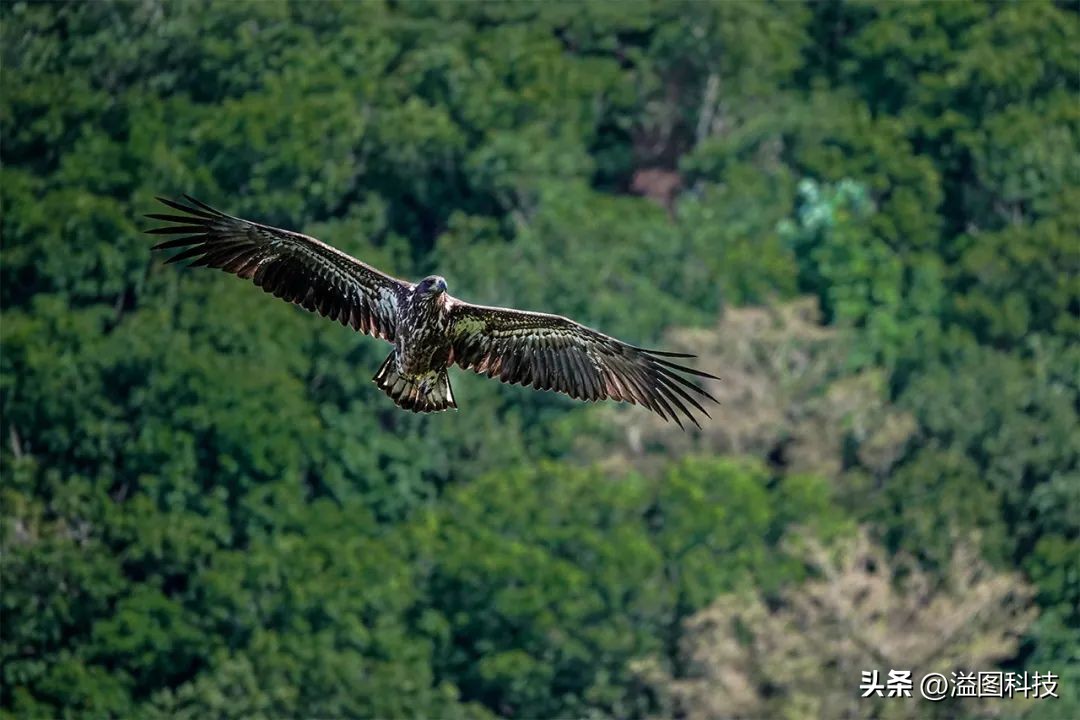 黑卡卡片相机推荐,值得入手的几款卡片相机