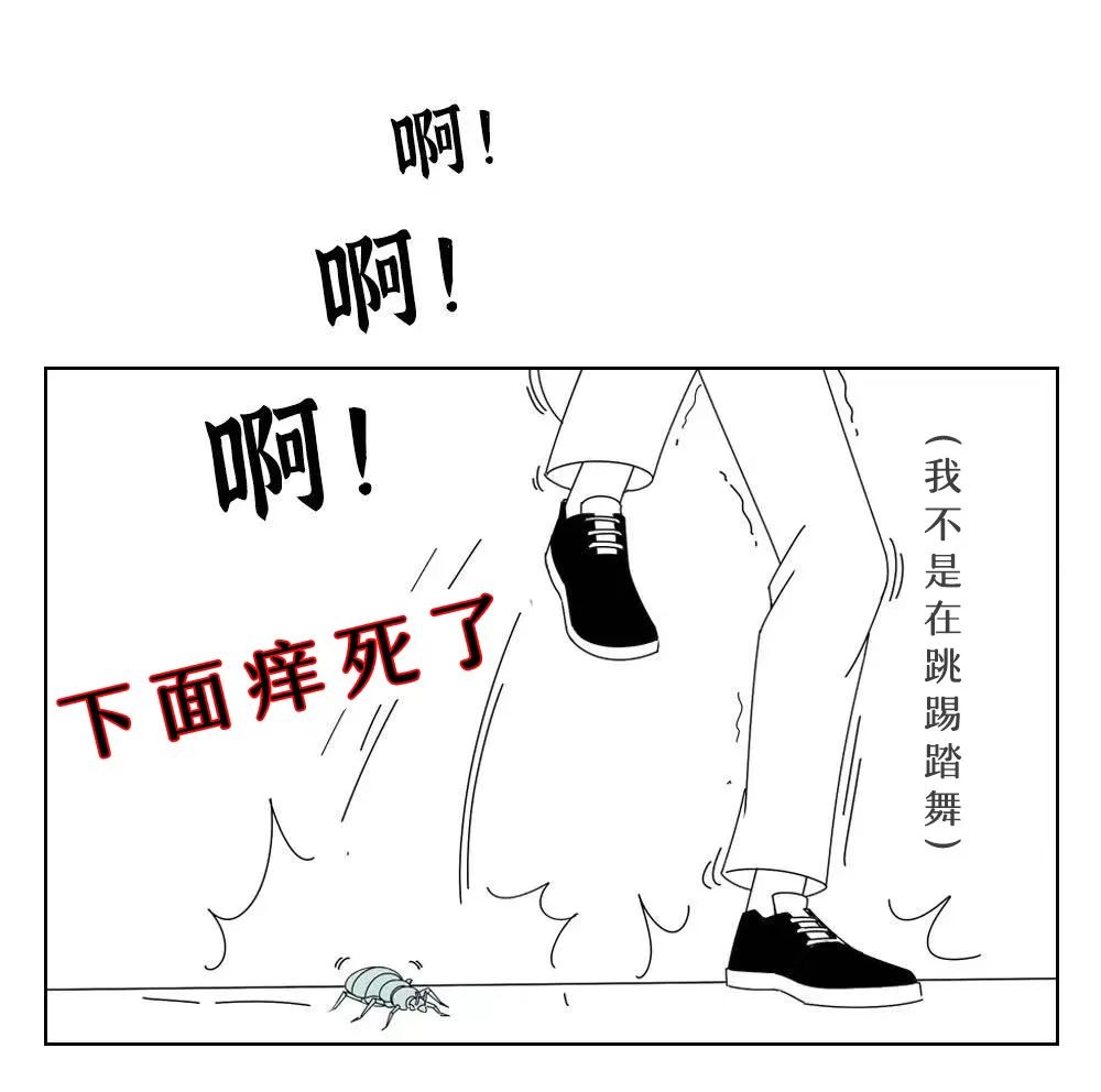 去公园可怕的虫子,去公园如何避免蚊虫叮咬