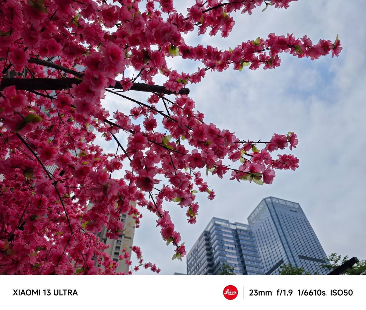 小米13ultra拍照细节表现,小米13ultra评测拍照