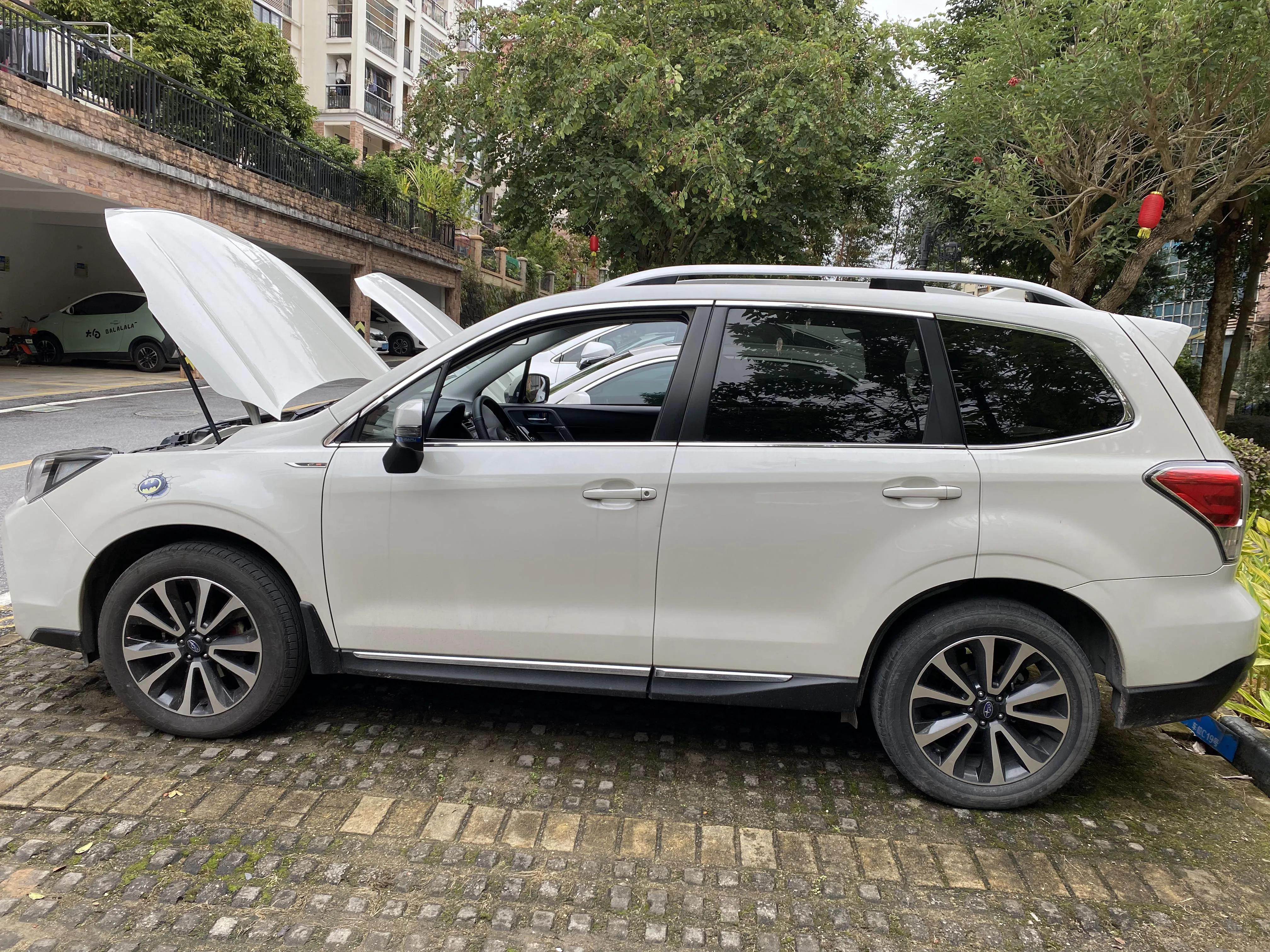 斯巴鲁森林人2.0去西藏动力咋样,2010款斯巴鲁森林人2.0动力够吗