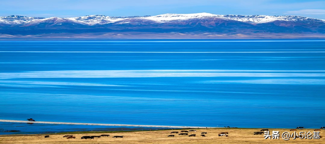 姚秋的基金,姚秋基金