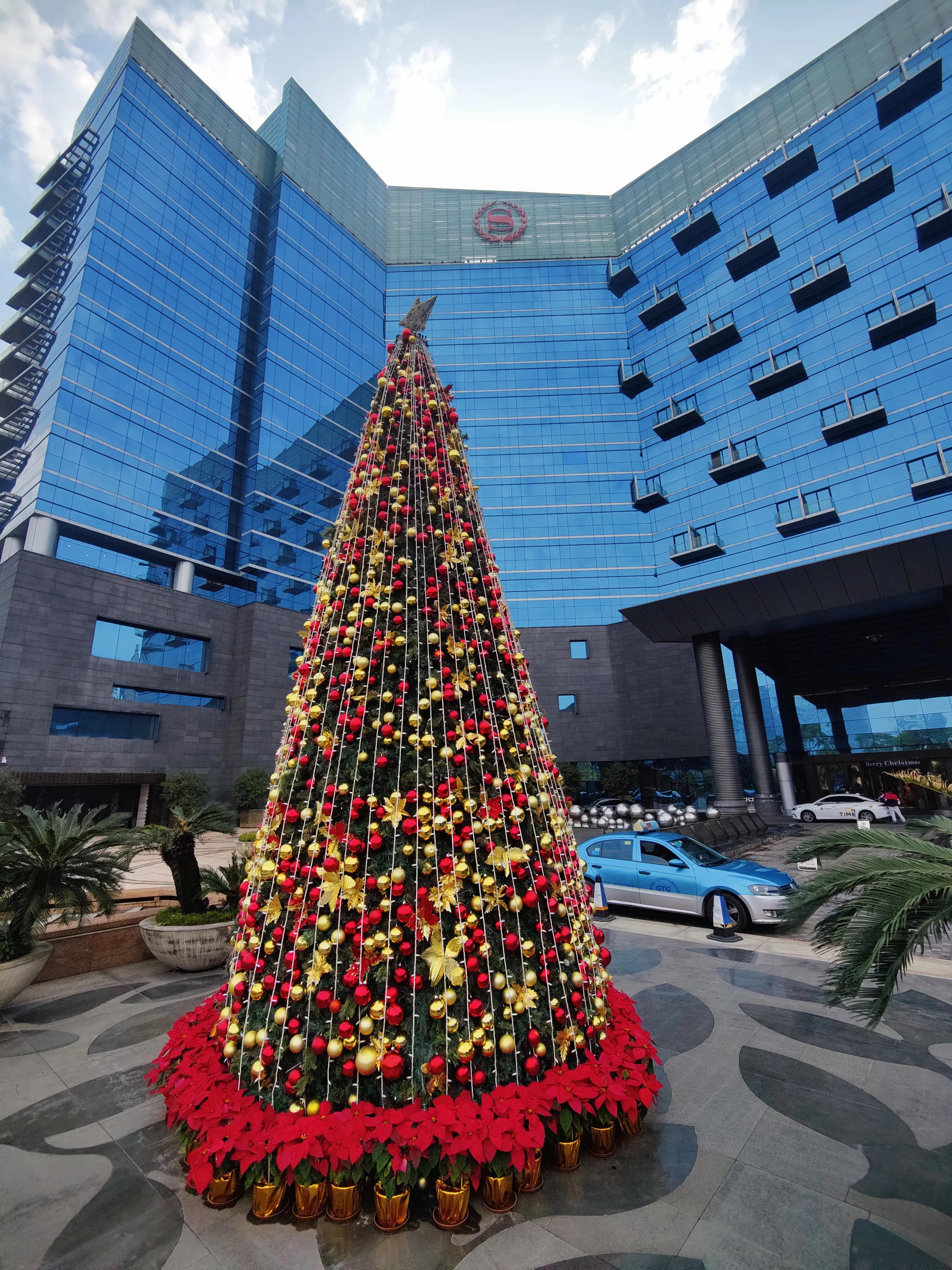 顺德杏坛农庄美食,世界美食之都顺德视频