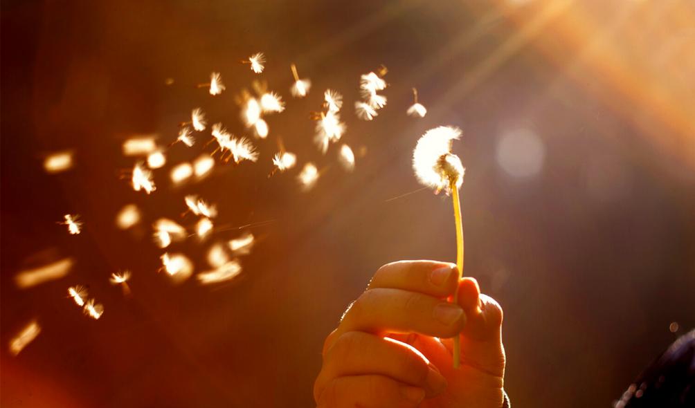 愿你努力向上光芒万丈的英语,愿你努力向上光芒万丈