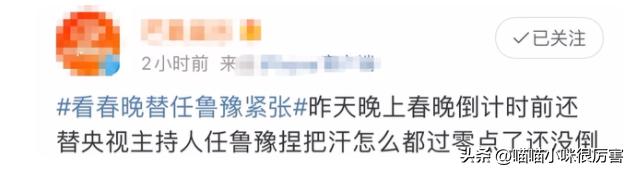 撒贝宁和任鲁豫一起主持过春晚吗,任鲁豫撒贝宁春晚