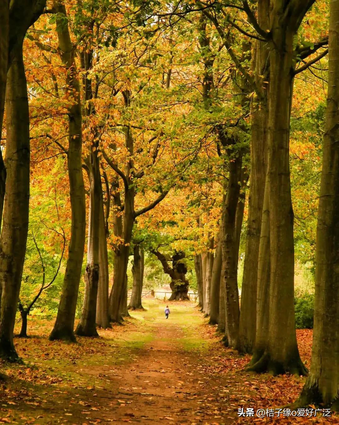 何为真正的读书人,什么是读书人的使命