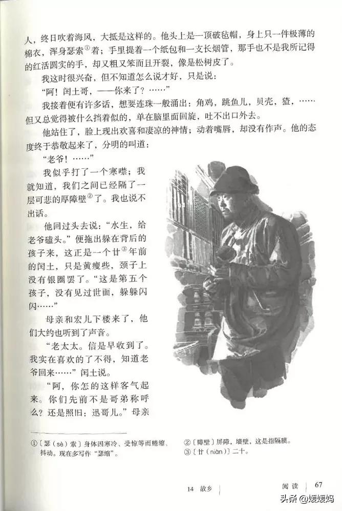 九年级上册语文第15课故乡预习,语文书人教版九上故乡ppt