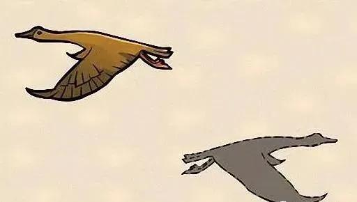 成语解读何不食肉糜,何不食肉糜成语解读