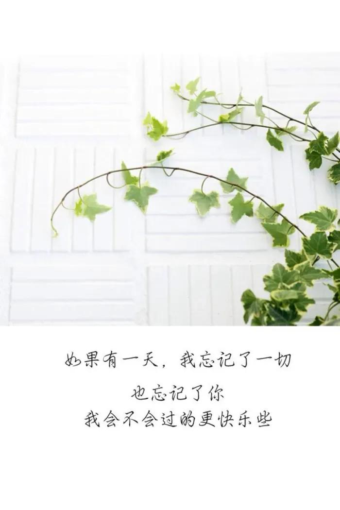 分手治愈自己的文案高级感,夫妻分手伤感25句经典文案