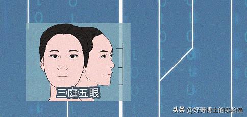 人类为什么四季发情,为什么人类都喜欢恋爱