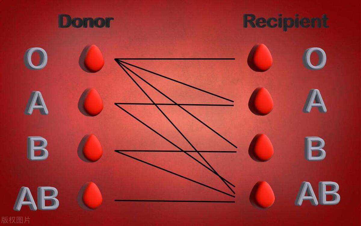 血型决定命运有这种说法吗,血型决定命运有科学道理吗