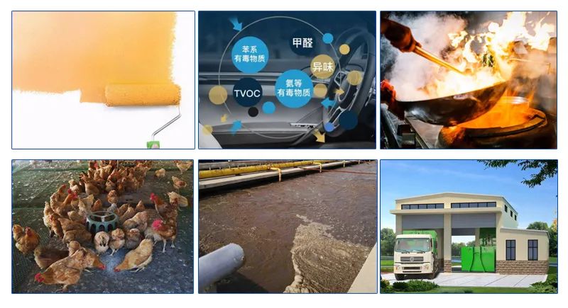 蓖麻油酸锌除味剂对人有害吗,蓖麻油酸锌除味剂有哪些品牌