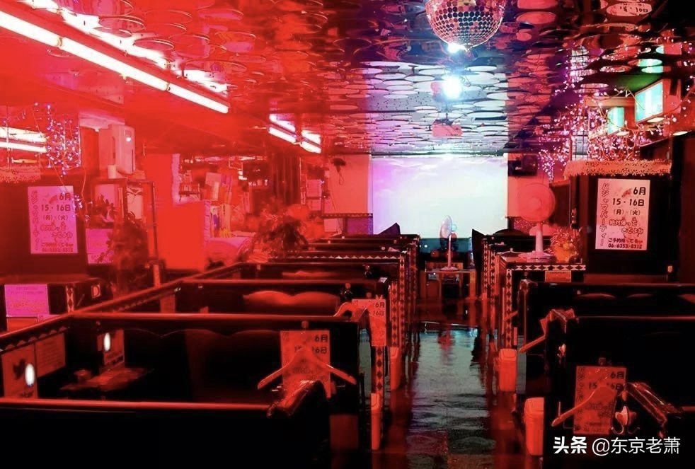 粉红沙龙适合什么地区,粉红沙龙是什么