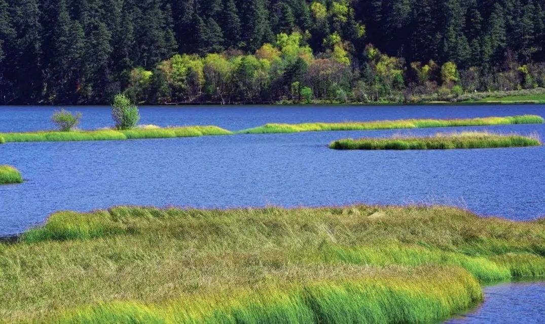 尼汝秘境,香格里拉尼汝村徒步环线图
