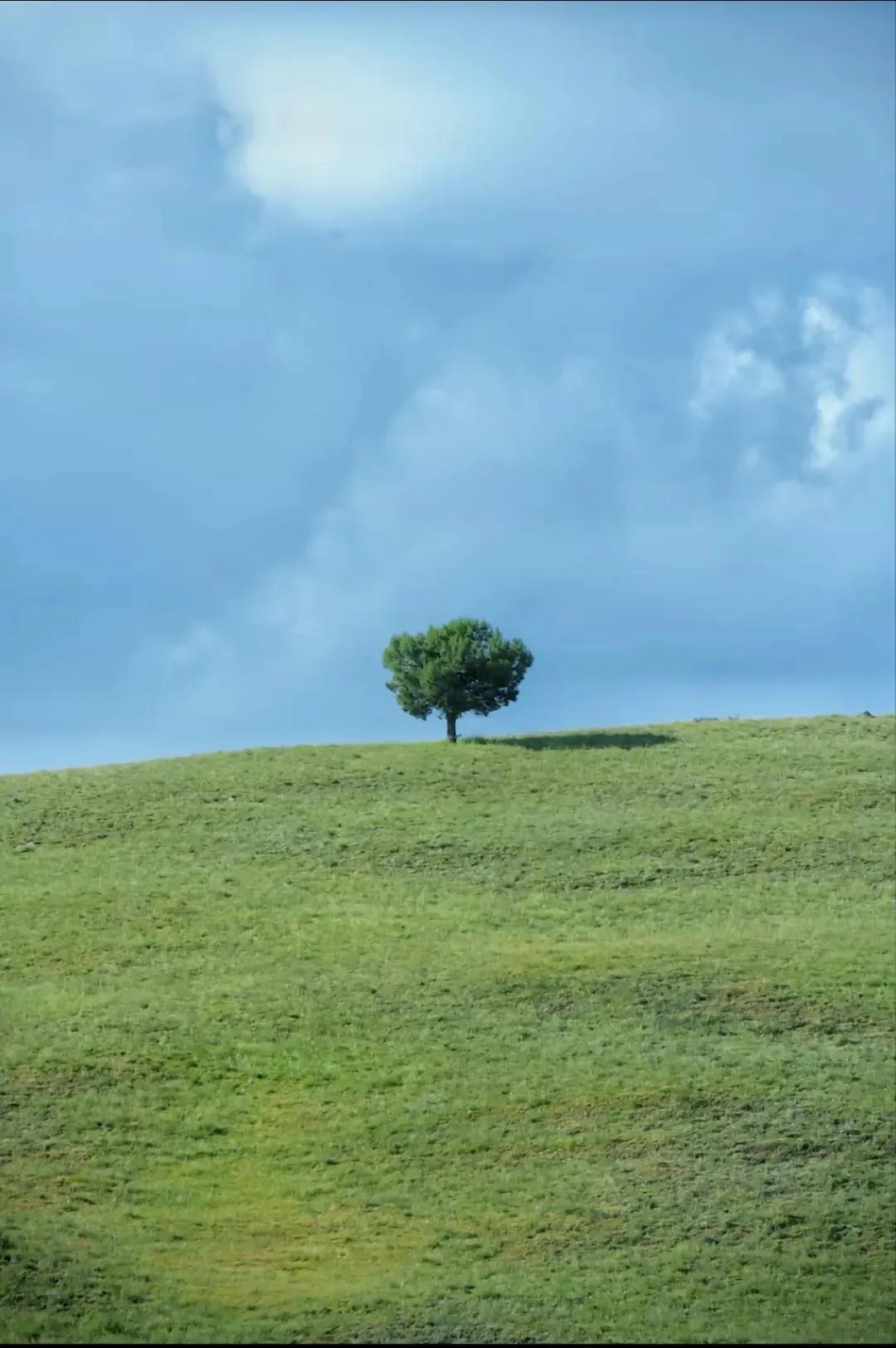 几乎每个人知道不忘初心方得始终,不忘初心方得始终要达到的成效