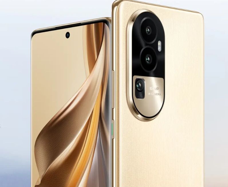 养猫必备好物清单,不贵又实用的养猫好物分享