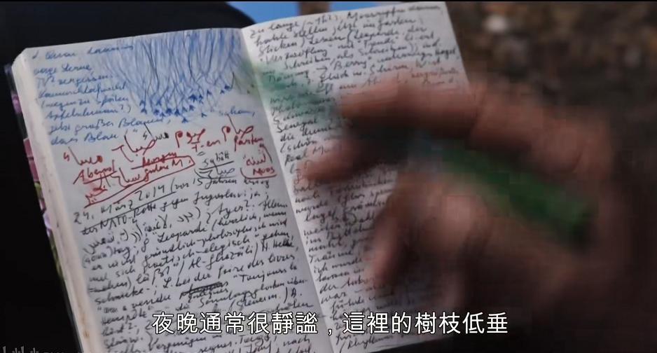 人应该怎样生活才更有意思,生活应该有的样子