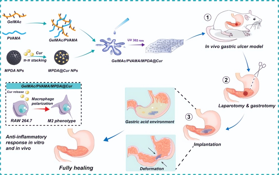 仅一年，中国406.4万人患癌！西安交大连出癌症防治硬核成果，引发国际关注！