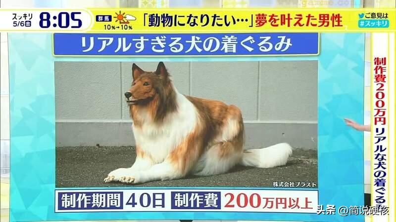 日本男子花200万变狗还会说话吗,日本男子花200万变狗后能说话吗