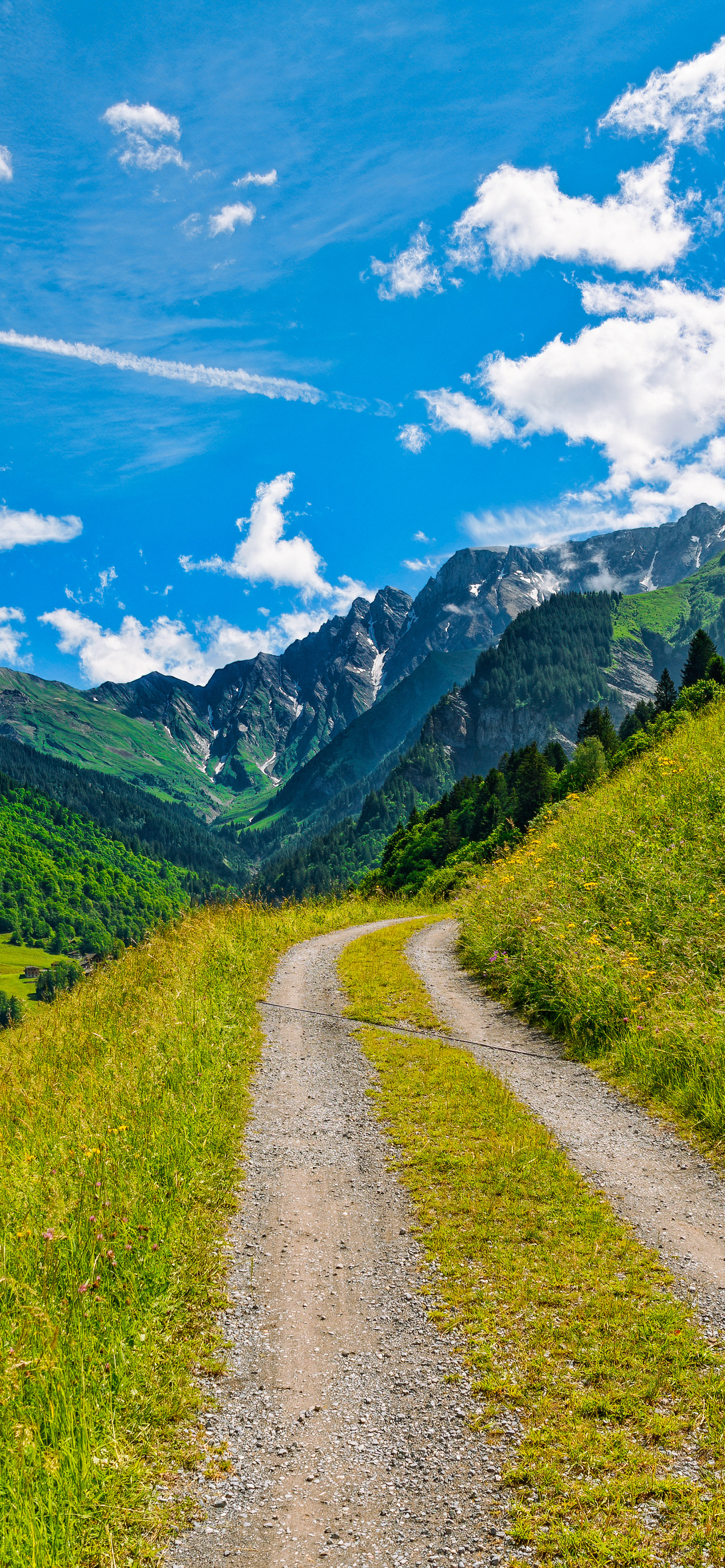 早安竖屏手机壁纸,早安图片最新手机壁纸