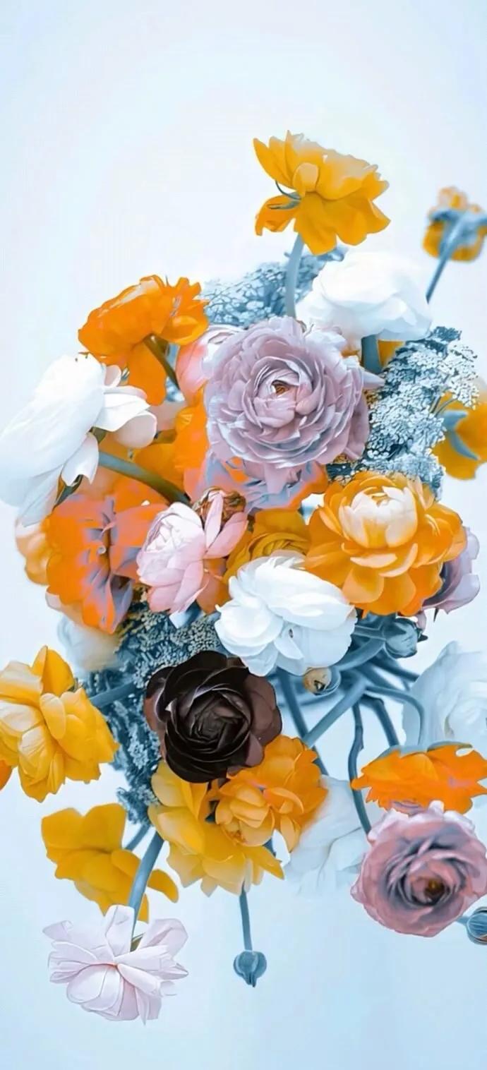 上班励志高清壁纸4k全屏电脑壁纸,黑鲨壁纸动态壁纸高清全屏90帧