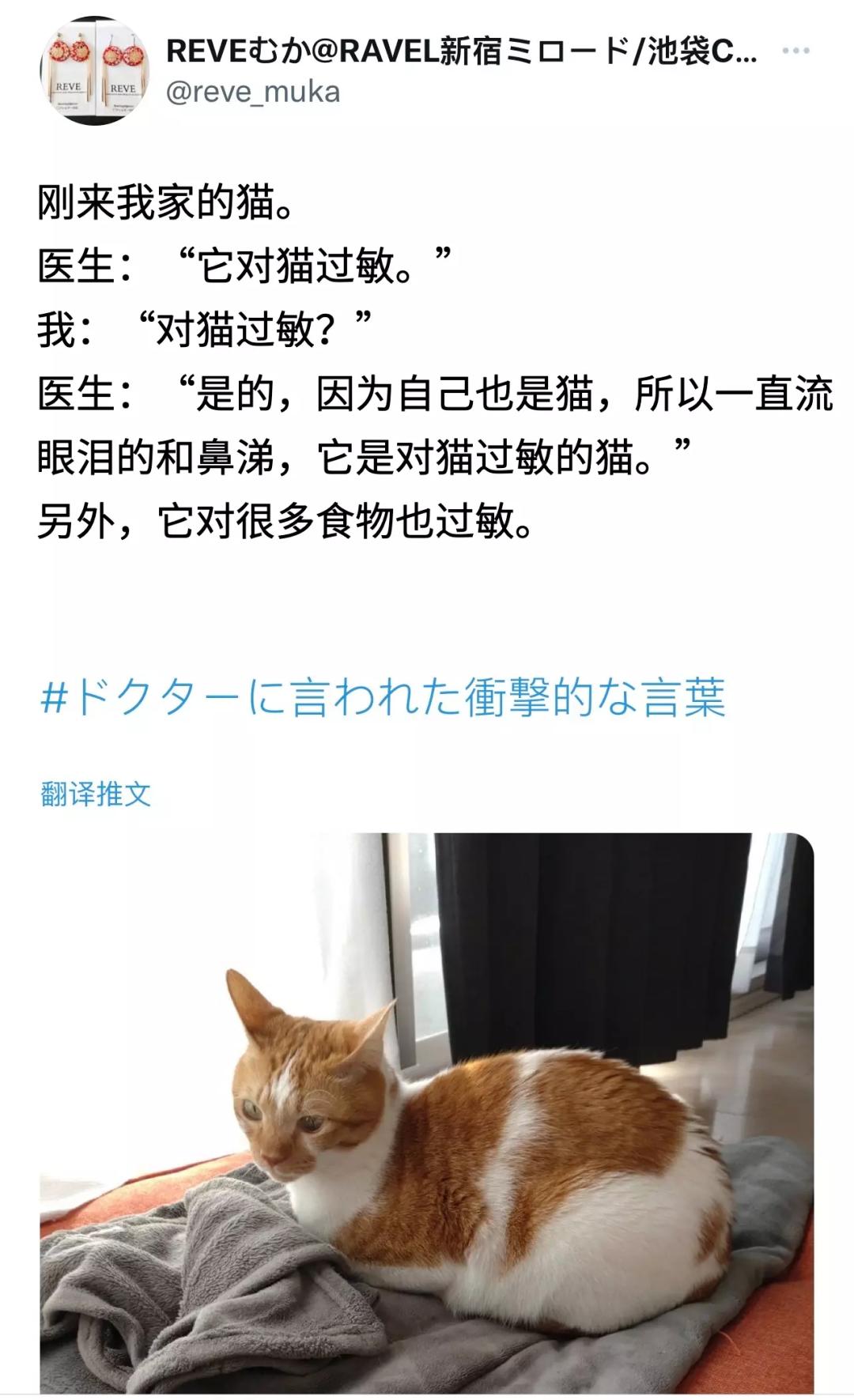 养仓鼠死亡事件,养的仓鼠突然死了