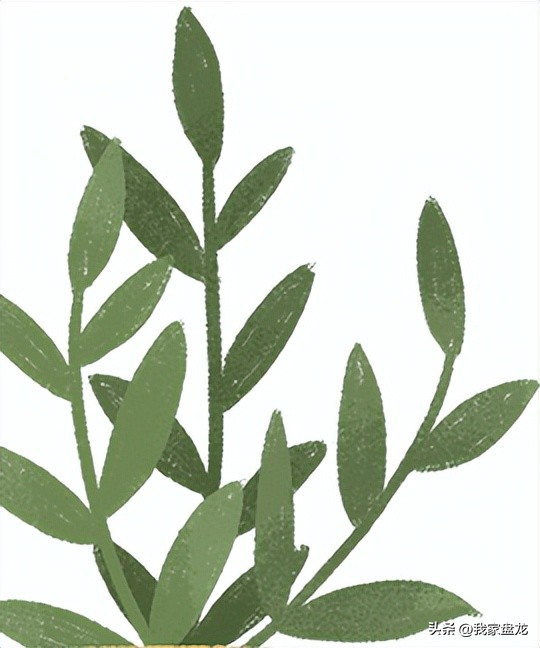 昆明中考一批次有哪些学校,昆明中考一二三批次录取学校排列