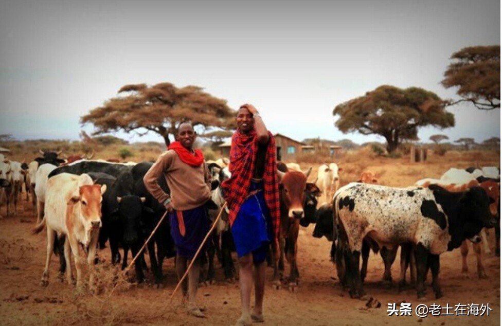 非洲物价高，但牛肉却超级便宜十多元一斤，可当地人还是吃不起