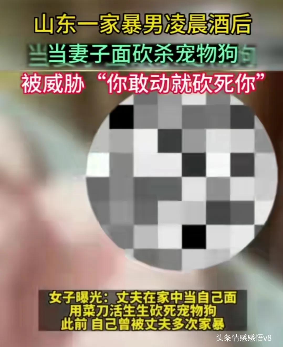 山东家暴男砍死宠物狗不打吗,山东一家暴男当妻子面砍死宠物