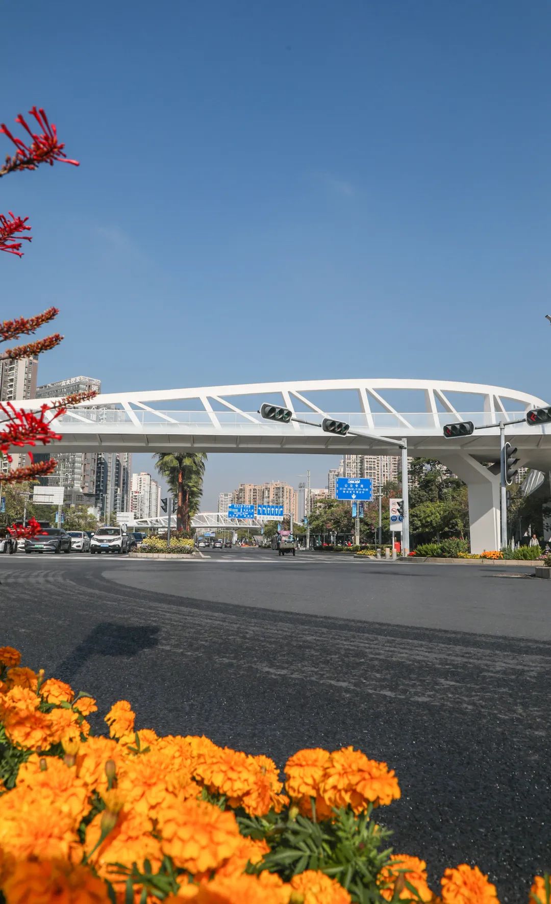 深圳旅游全攻略宝安,宝安旅游线路推荐