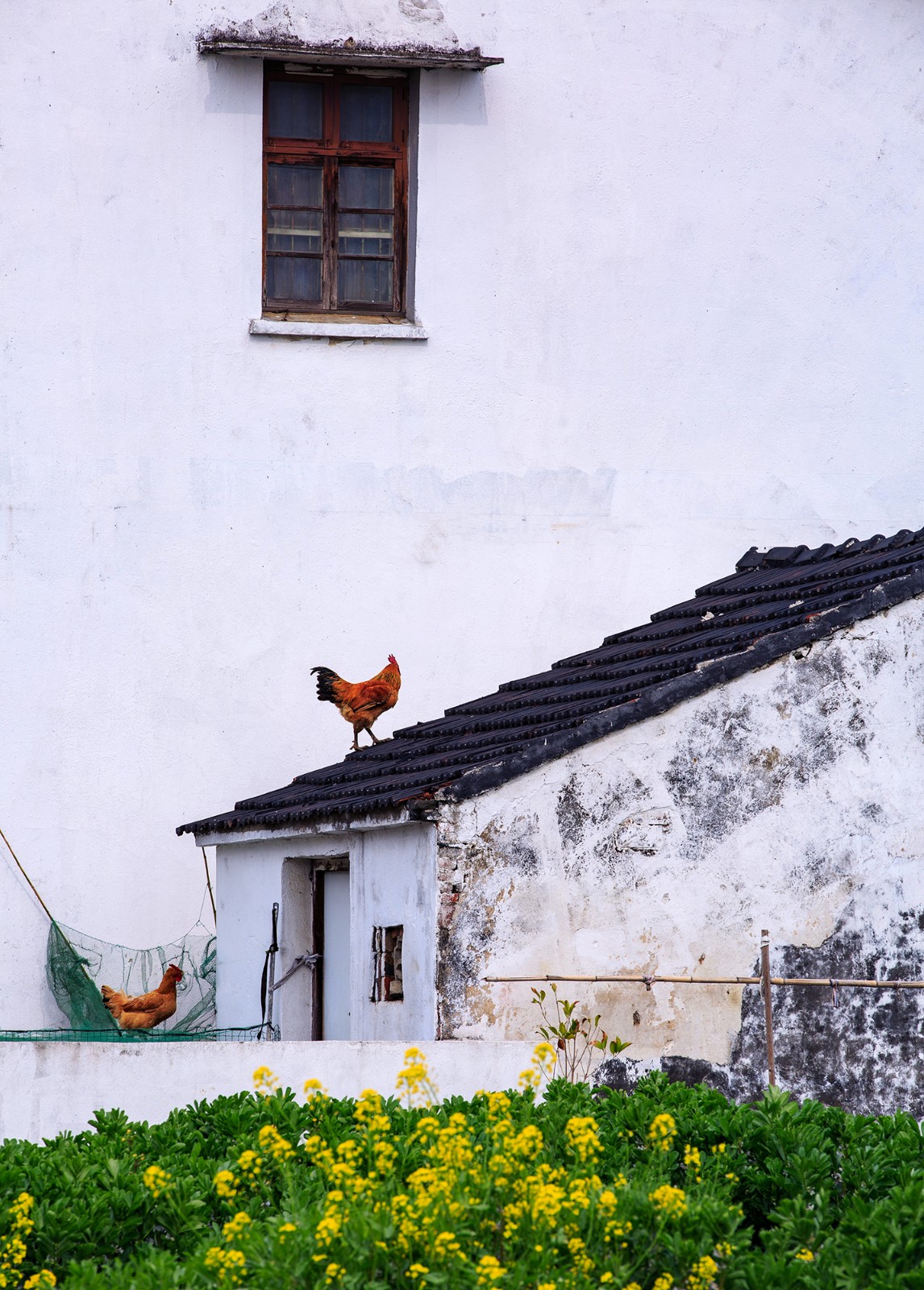 沙家浜景区诗句,沙家浜芦荡在什么地方