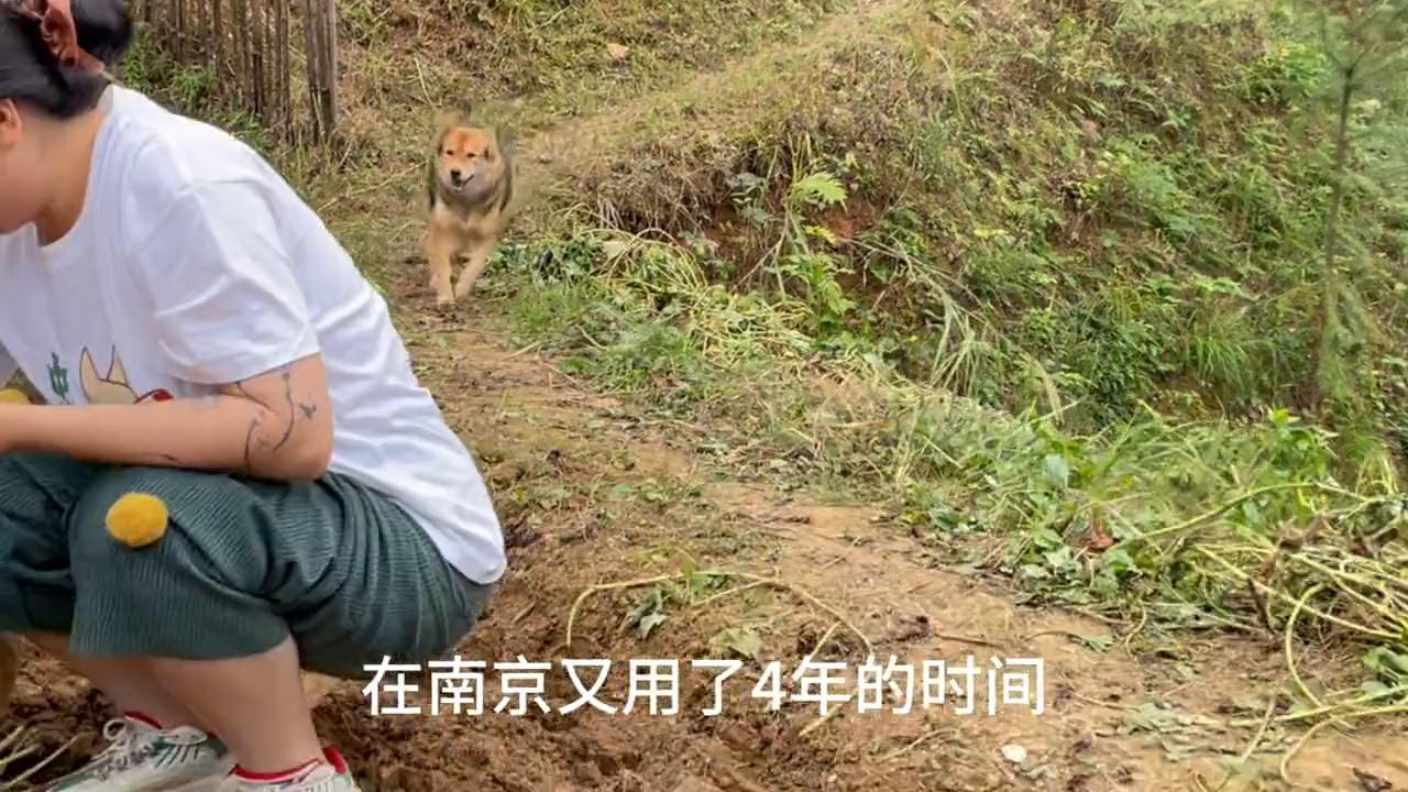 我的木工坊生活,我的木工坊经历