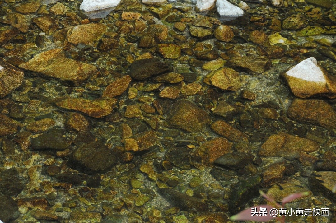 西安秦岭沣峪口夏季避暑去处,西安秦岭沣峪口附近哪里凉快