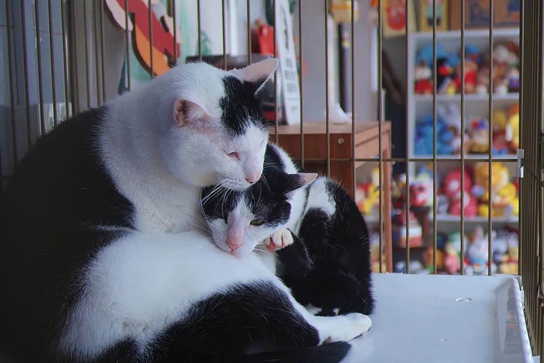 古着千禧年,古着大头贴