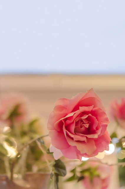 让别人记住你的小技巧,让别人立刻记住你的方法