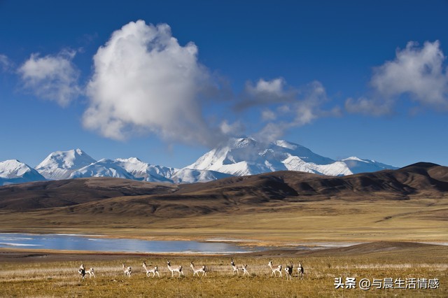 人到中年不要炫耀三样,中年朋友圈炫耀这三件事最掉价