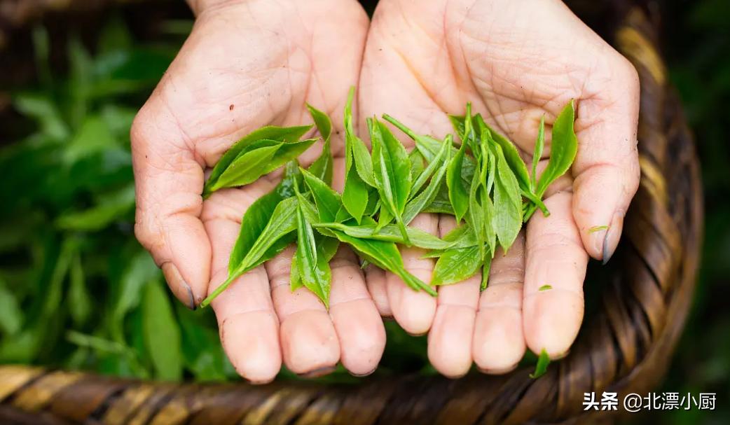 选购大品牌的茶叶就一定靠谱吗,买茶叶的各种猫腻