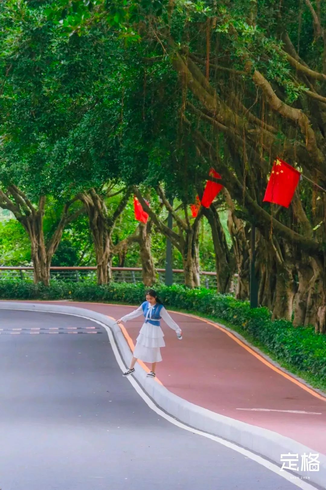 深圳有哪些山林骑行绿道,深圳有哪些好玩的骑行路线