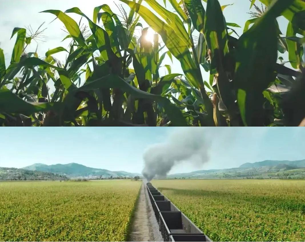 东北人怎么样,东北人怎么样很能装