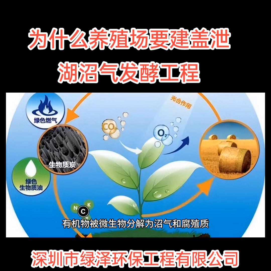 养殖场沼气发电机厂家,养殖场沼气脱硫设备