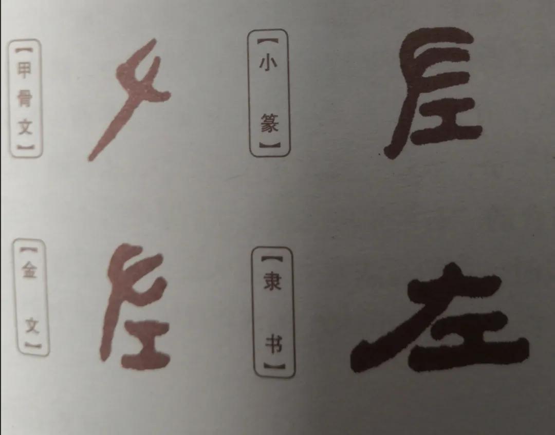 解字解读,解字的术语大全