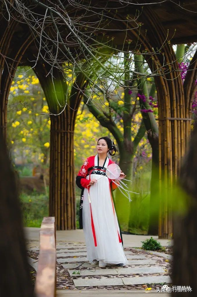 花仙子风铃,风铃花仙子