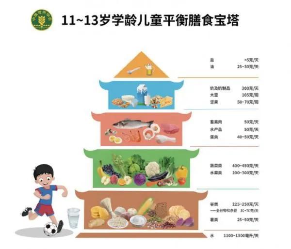 儿童膳食营养日,全民营养周5.20中国学生营养日