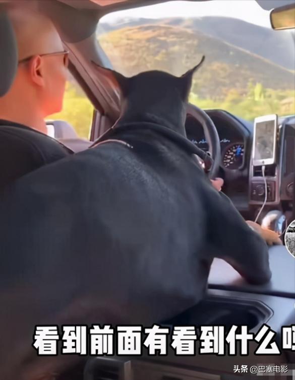 47岁乐嘉在美国被偶遇，高端水成箱买，细看资产，才知什么叫精明