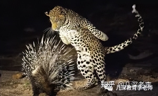 考博面试常见问题及回答,考博面试问题及回答技巧