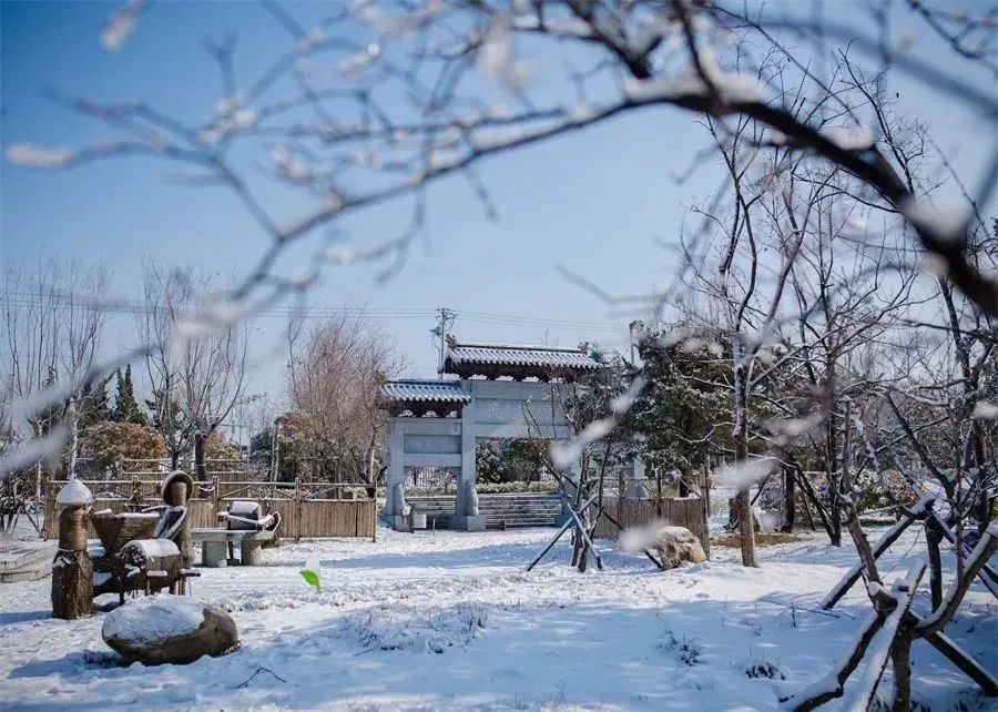 山东省青岛第六中学,山东青岛第六中学