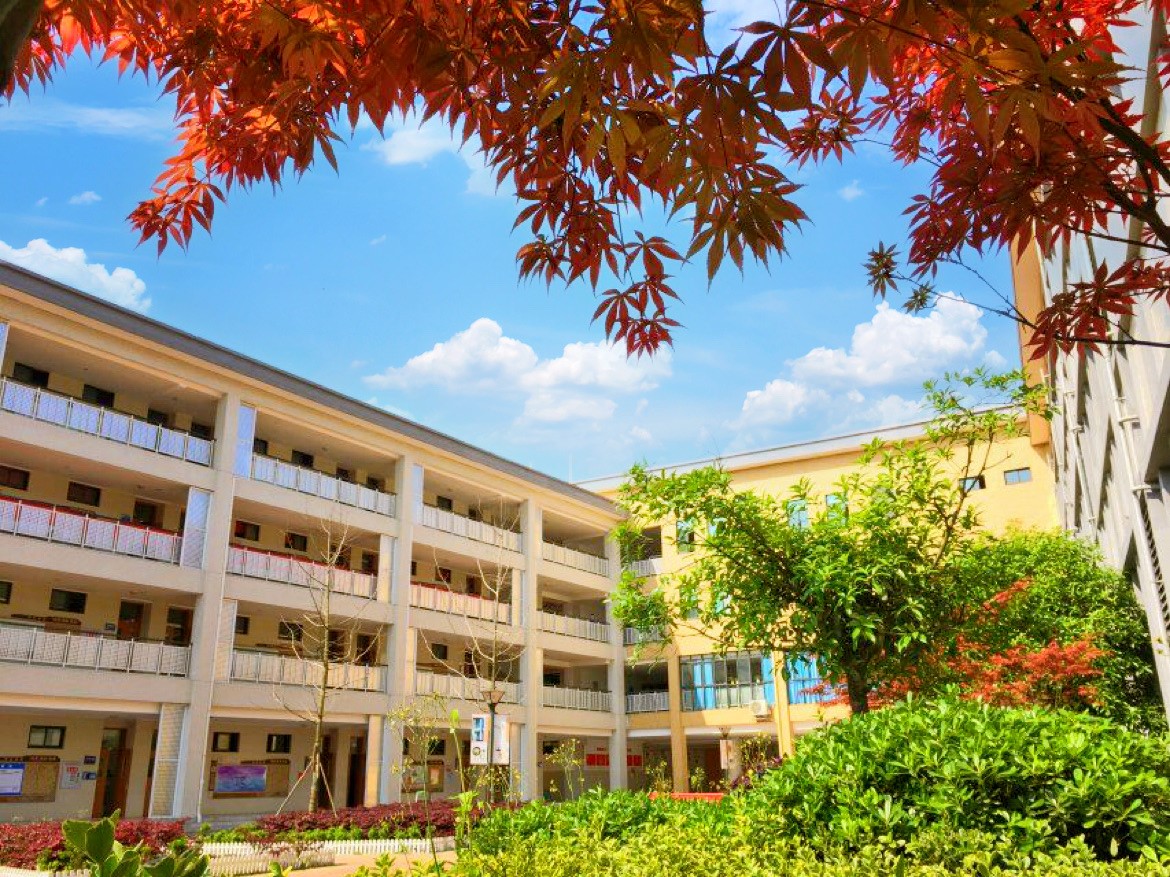 投入2个亿提档升级，新华学校未来可期！