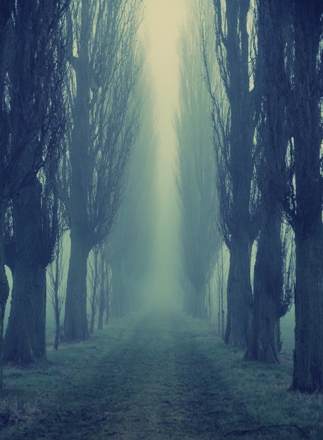 杨利伟在太空听到“敲门声”，十七年后谜底揭开，多亏他当时机智