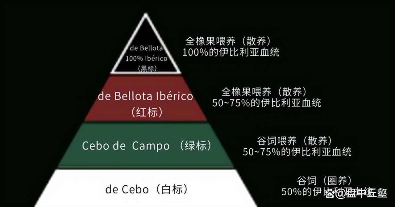 伊比利亚火腿为什么卖那么贵,伊比利亚火腿凭什么是世界最贵