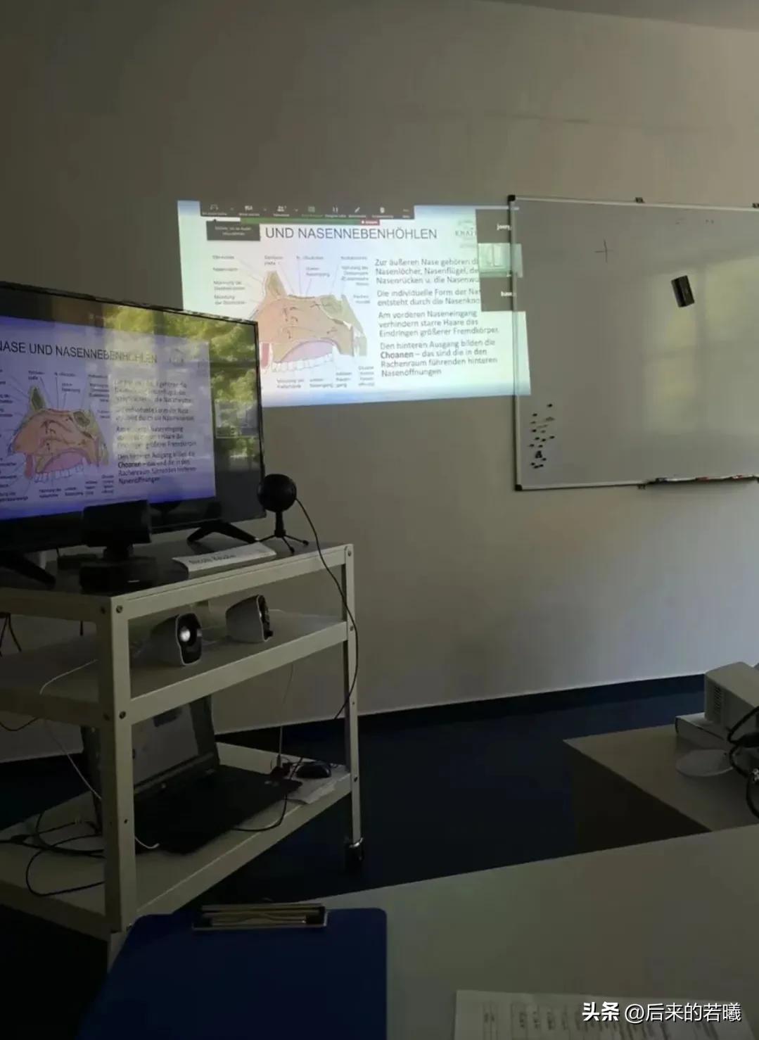 30岁学德语去德国做护士靠谱么,德国护士的德语学习周期