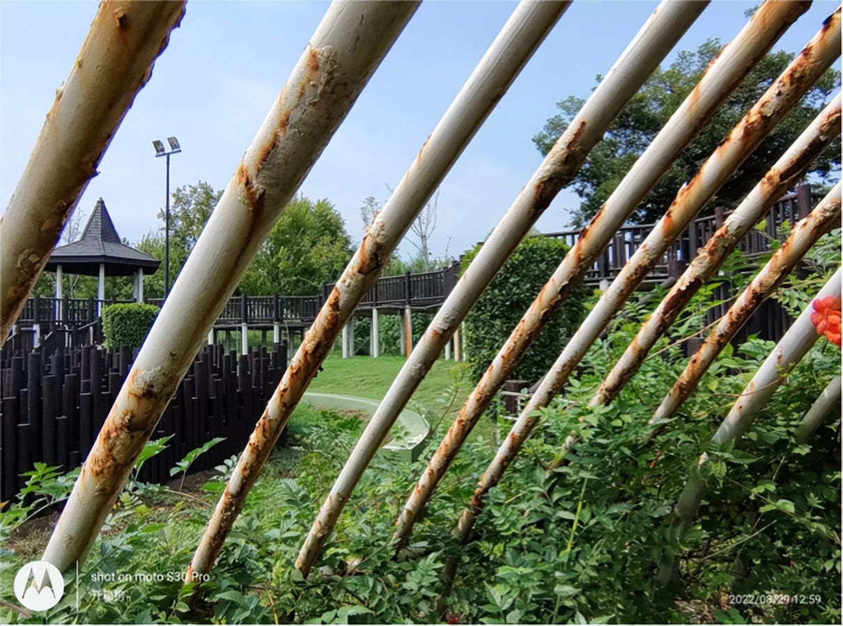 motos30pro缁埅鎷嶇収璇勬祴,motos30pro鎷嶇収娴嬭瘎